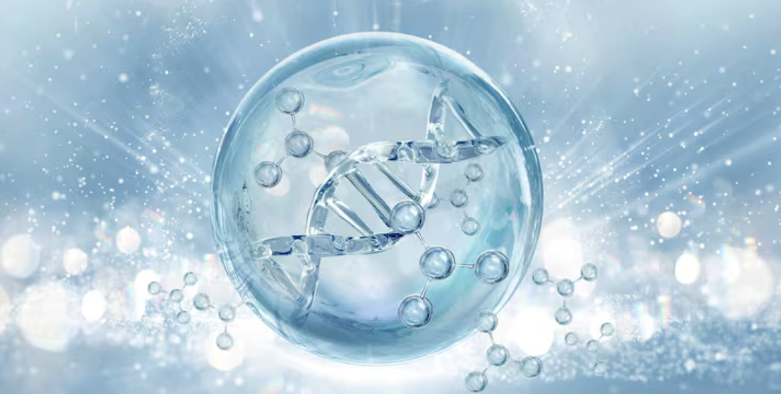 University Science Park